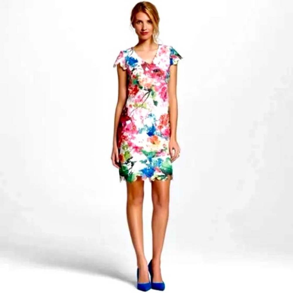 Dr. Collection Floral Dress